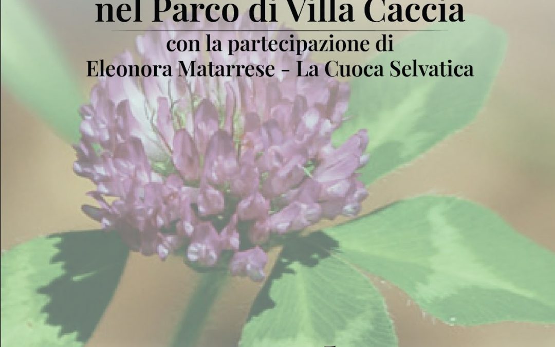 Erbe Ribelli in Villa Caccia